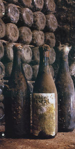 Коллекционные вина "Массандры"